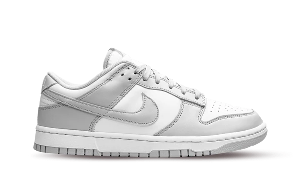 Nike Dunk Low Gray